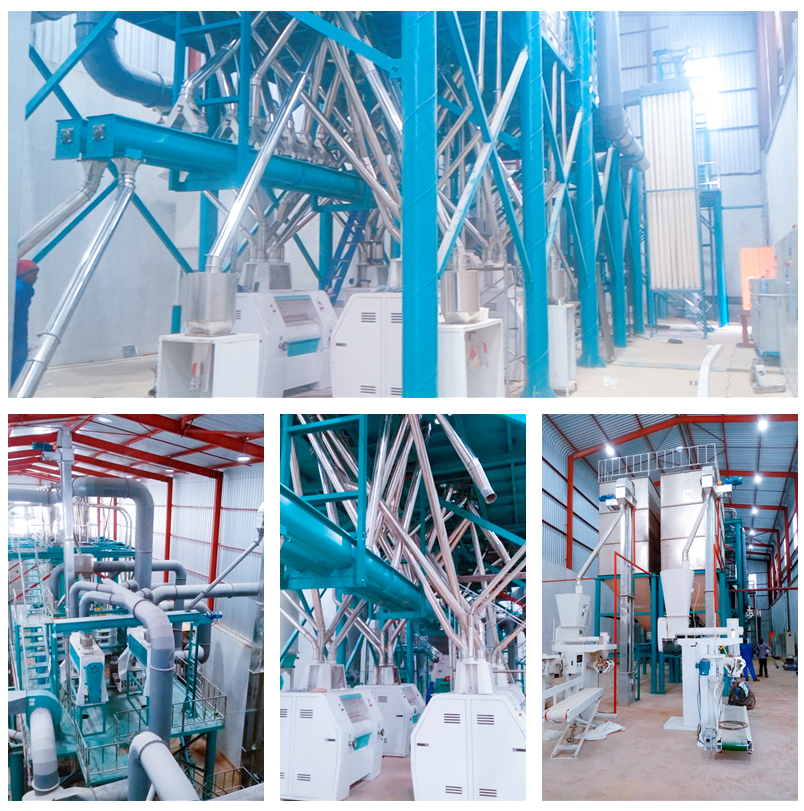 150t/24h Maize Flour Milling Machine