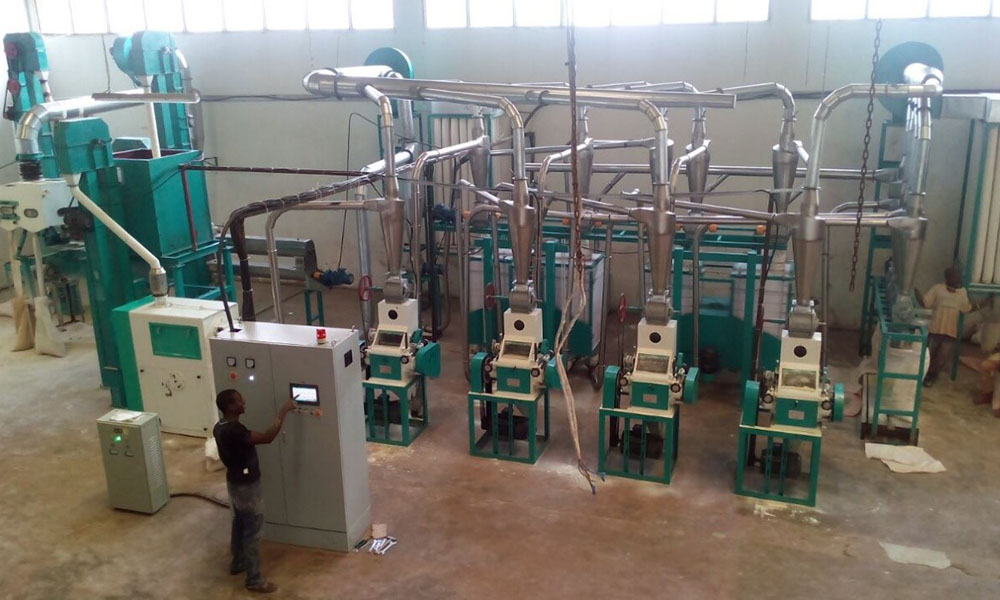 20t/24h Maize Flour Milling Machine