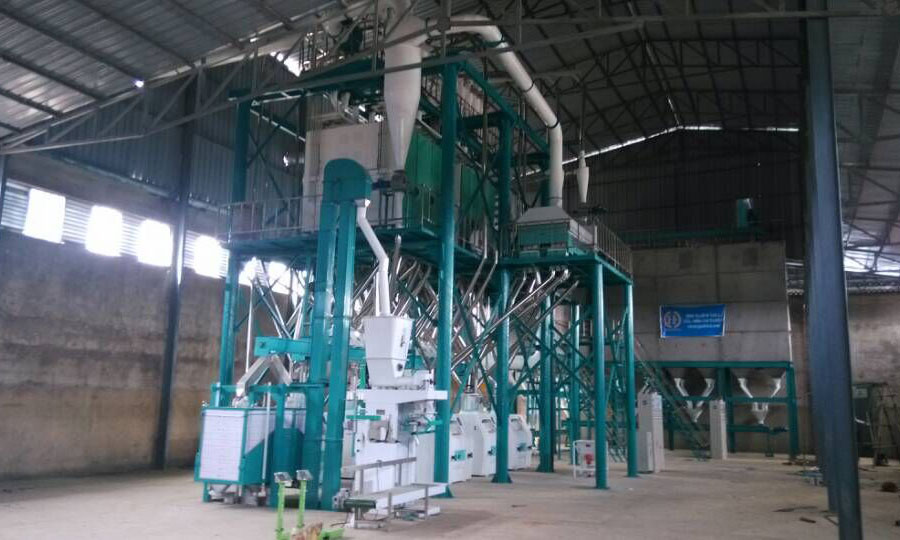 80t/24h Wheat  Flour Milling Machine