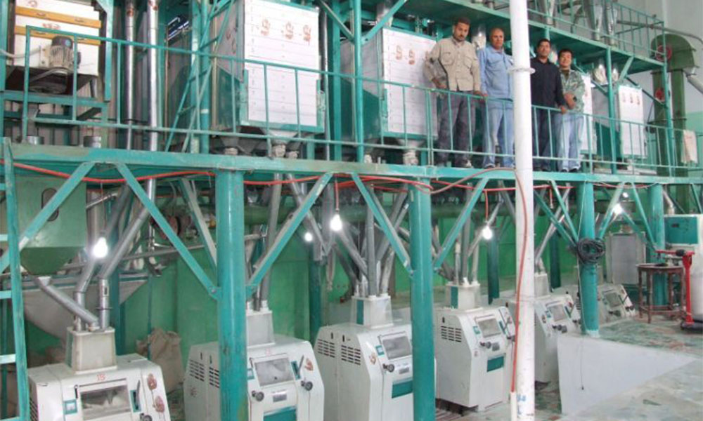 60t/24h Wheat  Flour Milling Machine