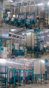 30T  MAIZE MILL IN AFRICA 