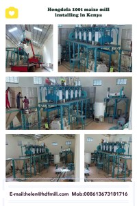 100t maize mill 