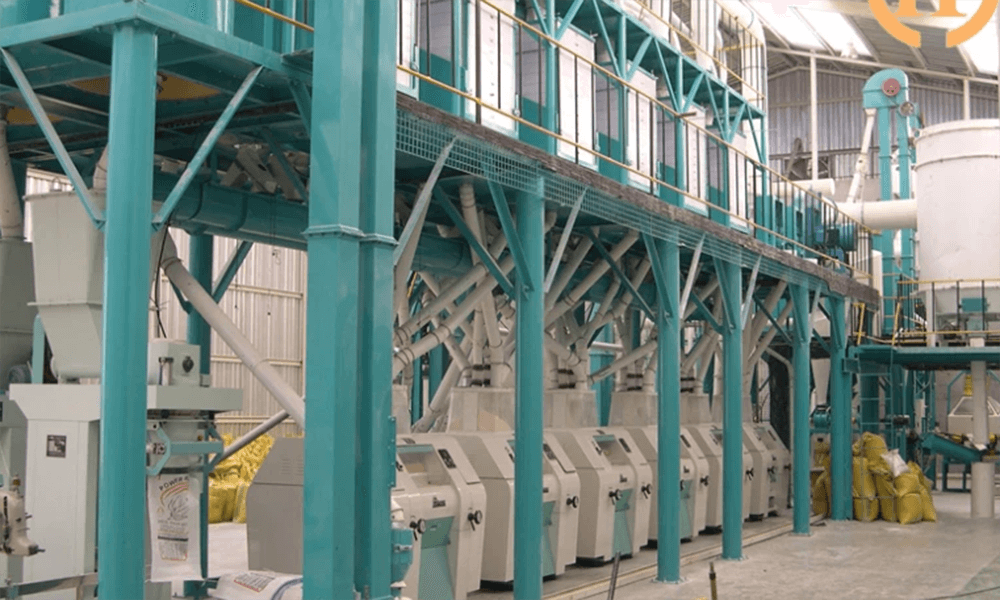 50 T/24H WHEAT FLOUR MILL